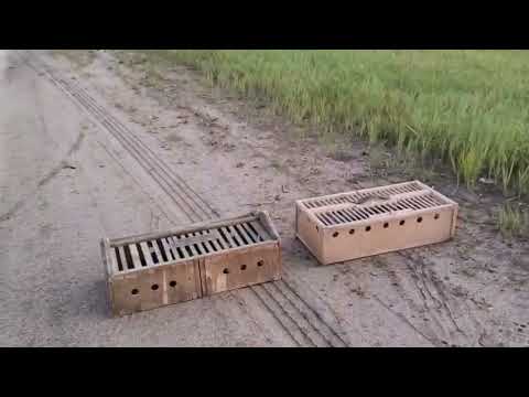 Видео: 09.07.2025 Торжок -  Новоульяновск . Расстояние по прямой 904км