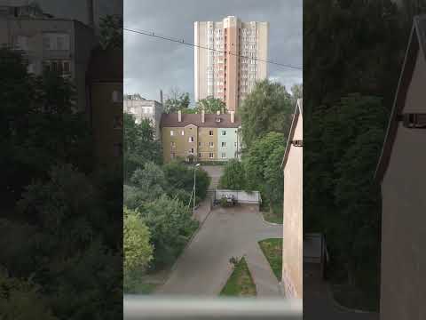 Видео: Буря #буря  #гроза