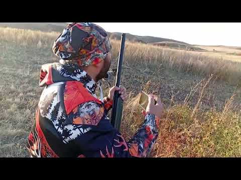 Видео: Охота на дикого голубя в Армении / թխակապույտ աղավնու որս / #Hayvorsord #հայորսորդ #որս #vors 