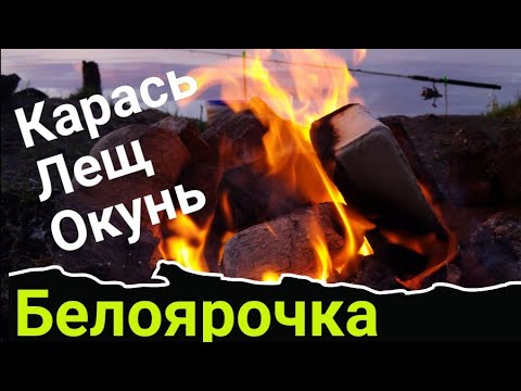 Видео: Белоярка, рыбалка на фидер.