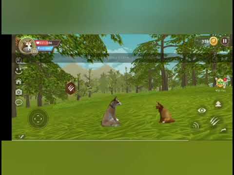 Видео: Вайлд крафт мини фильм (история лисёнка) 1 серия 