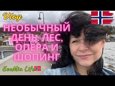 Видео: Брюки, Сковорода и Опера в лесу — неожиданный Влог /Nº12 - 10.2025