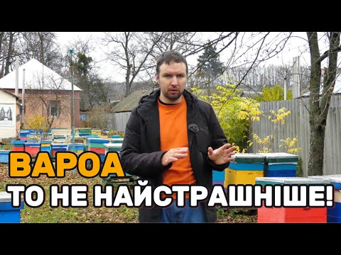 Видео: Що знищує бджіл по всьому світу? Небезпечні хвороби бджіл
