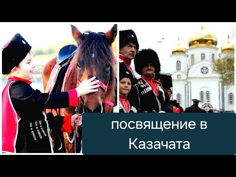 Видео: Первоклашки в строю: Классное посвящение в Казачата!✌️🤩