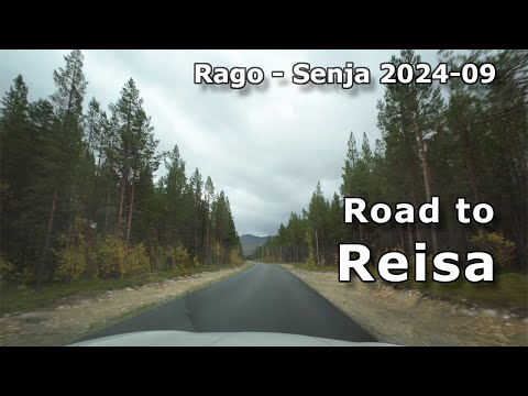 Видео: Дорога в парк Рейса