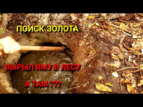 Видео: ВЫРЫЛ ЯМУ В ЛЕСУ А ТАМ???