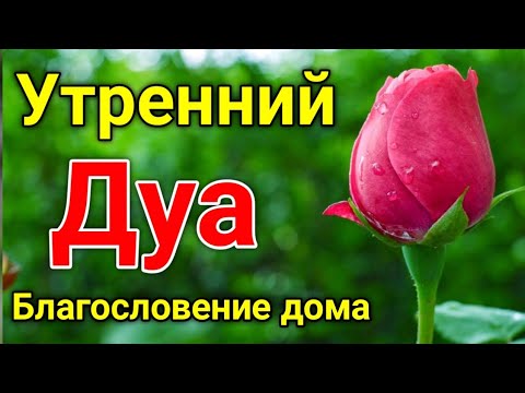 Видео: Утренний дуа. дуа каждое утро