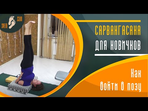 Видео: Сарвангасана для новичков. Как правильно войти в позу.