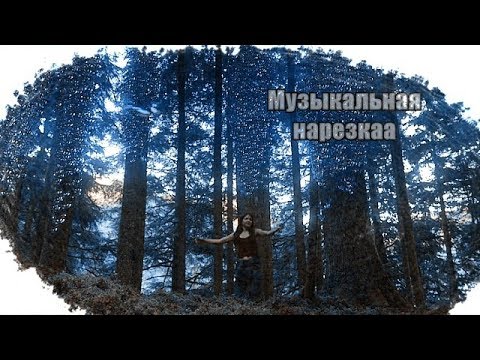 Видео: Сотня || Музыкальная нарезка.