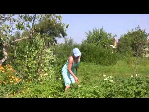 Видео: Дачники