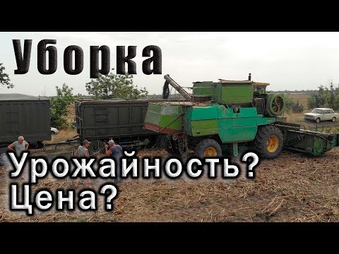 Видео: Уборка подсолнуха 2019! ДОН-1500Б.