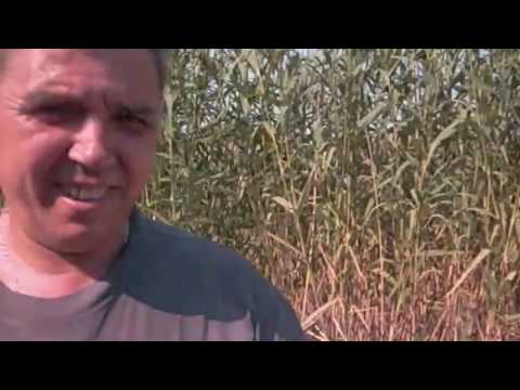 Видео: Экскаватор драглайн, техника, работа.