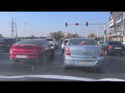 Видео:  🌞 Утро понедельника в пути 🚗☕️