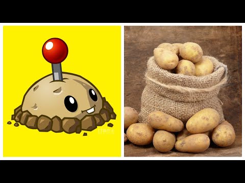 Видео: PLANTS VS ZOMBIES IN REAL LIFE  | РАСТЕНИЯ ПРОТИВ ЗОМБИ В РЕАЛЬНОЙ ЖИЗНИ