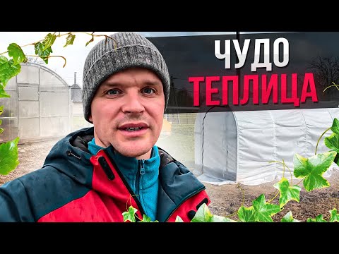 Видео: Чудо теплица.