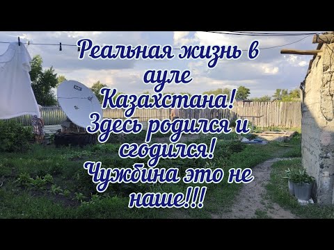 Видео: Не деревня,а аул! Реальная жизнь в ауле Казахстана/Муж строит, мама помогает/Субботний ужин/Гости/