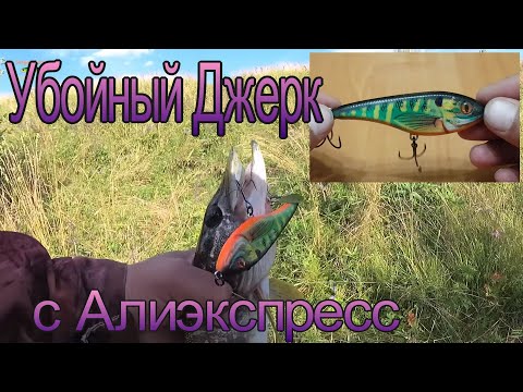 Видео: ДЖЕРК, ПОДКОС ПОД БАСТЕР с Алиэкспресс ! КЛАССНЫЙ ДЖЕРК ! ОБЗОР И РЫБАЛКА !