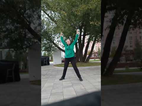 Видео: Баланс 4-х Стихий. Центр Универсологии. Елена Барабанова