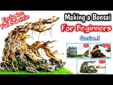 Видео: Шаг за шагом создание бонсай в акваскейпе для начинающих