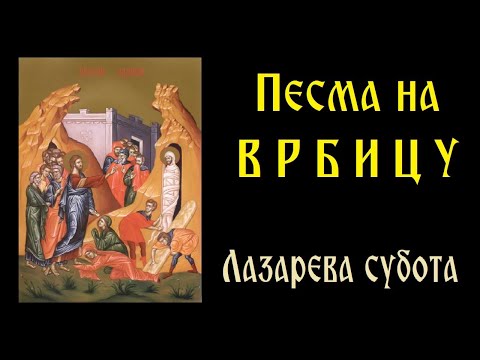 Видео: Песма на ВРБИЦУ