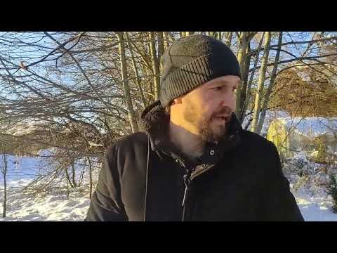 Видео: Как вырастить бамбук в Беларуси