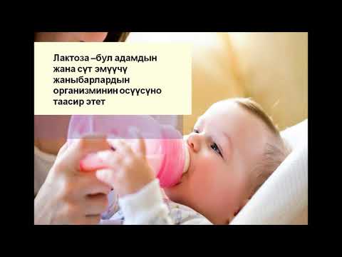 Видео: Дисахариддер жана полисахариддер
