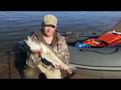 Видео: ОДИН НА ОСТРОВЕ  ПОСРЕДИ ОБИ!! РЫБАЛКА  АВГУСТ 2022г.