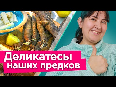 Видео: Незаслуженно забытые овощи! Посадите хоть раз - и больше вы от них никогда не откажетесь!