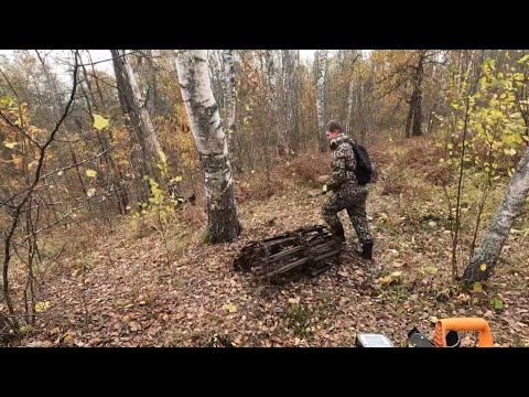 Видео: Классная прогулка по осеннему 🍁 лесу с металлоискателем 💥💥💥