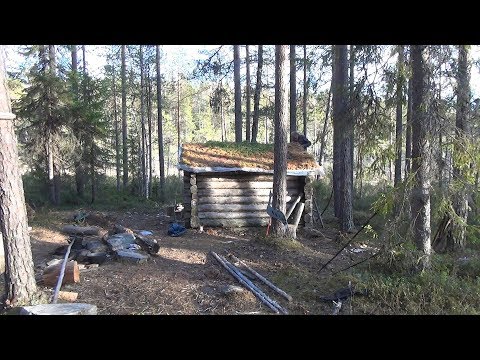 Видео: Будет щука, Михалыч! Часть 1. Ремонт лесной избушки.