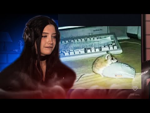 Видео: MORPHILINA СМОТРИТ - ТИК ТОК И КРИНЖОВЫЕ РИЛСЫ
