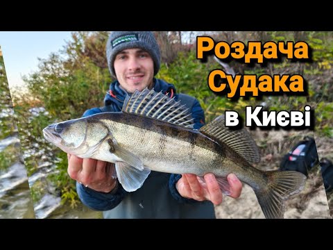 Видео: Ловимо СУДАКА у Серці Столиці❤️. Судак в Києві✅. Рибалка в Жовтні на Дніпрі.