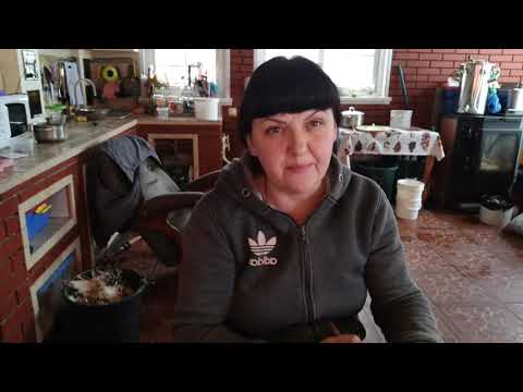 Видео: Гистомоноз у индюков!!!