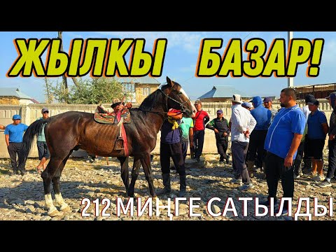 Видео: АТ БАЗАР КАЙНАЙ БАШТАДЫ 🤯#байтв 