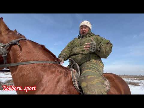 Видео: Карим Ажы: Улактагы тартипти колдон келишинче ондогонго аракет кылып жатабыз!