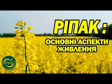 Видео: Вирощування ріпаку: етапи розвитку, потреба в елементах живлення