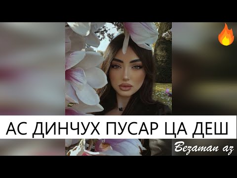 Видео: Ас Динчух Пусар Ца Деш😍