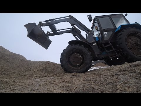 Видео: возим жом 🚛 буртую жом 👀 сочный корм животноводству 🐄