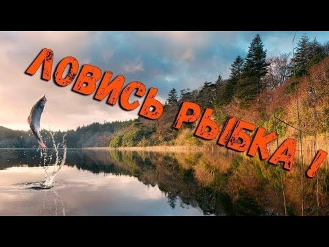 Видео: Розыгрыши!!! голд наживка!! Играю в Русскую Рыбалку 4!!Ловим рыбу!!!