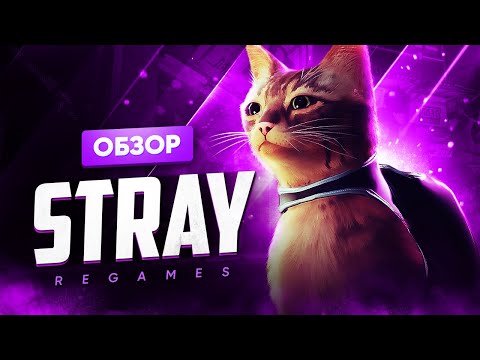 Видео: Обзор игры Stray