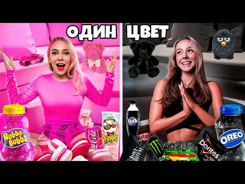 Видео: ЖИВЕМ в ОДНОМ ЦВЕТЕ 24 Часа !