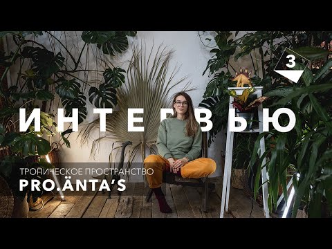 Видео: PRO.ÄNTA’S Тропическое пространство| Как создать оранжерею в городе| Интервью