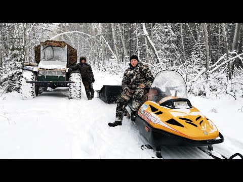 Видео: ВЫГОНЯЕМ КАРАКАТ ИЗ ЛЕСА. ЗАЕЗЖАЕМ В ТАЙГУ НА ПРОВЕРКУ КАПКАНОВ. .