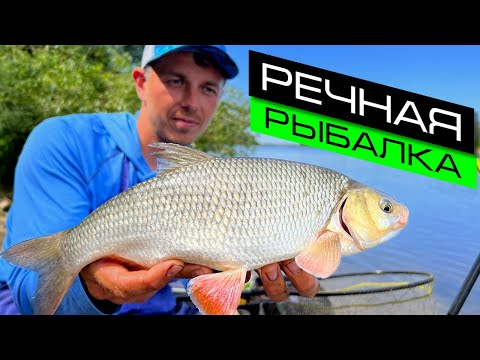 Видео: ЛОВЛЯ ЛЕЩА НА РЕКЕ / РЫБАЛКА НА ФИДЕР / FROS FISHING