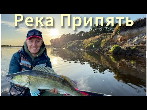 Видео: Рыбалка на реке ПРИПЯТЬ. Птичь Петриковский район. Сентябрь 2025