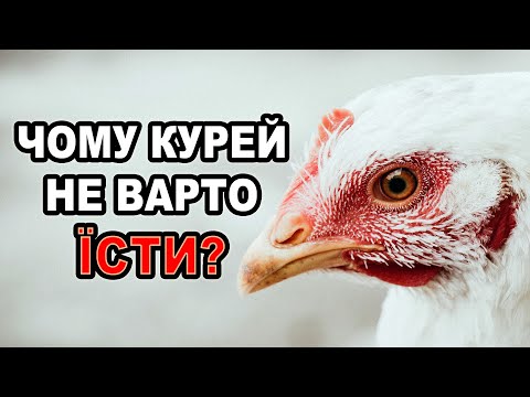 Видео: Веган–альтернативи м'ясу курей