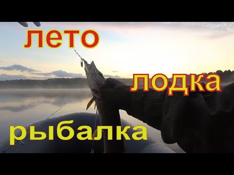 Видео: Рыбалка с лодки.Ловля щуки окуня на Mepps Aglia. Жабовник.