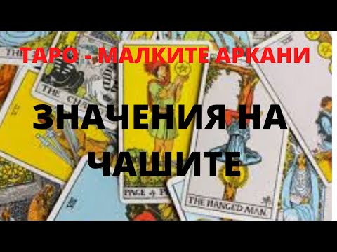 Видео: УРОК по ТАРО - Малките Аркани : ЧАШИТЕ