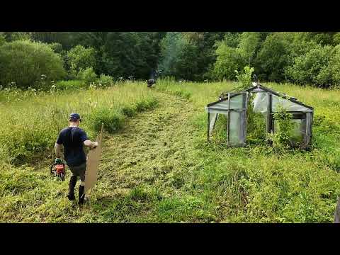 Видео: Купили дом | Разбираемся с домом | Косим траву | Дачники | Выпуск 7