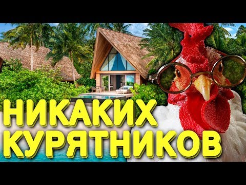 Видео: НИКАКИХ КУРЯТНИКОВ! ЛЕТНИЙ СПОСОБ СОДЕРЖАНИЯ КУР!